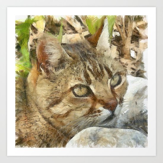 Relaxed Tabby Cat Resting In Garden Art Print