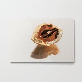 Gold Tree Nut Metal Print | 24Kt, Seedpod, Foundobject, Precious, Color, Photo, Tree, Reflection, Nature, Conservation 