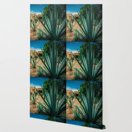 Mexico Photography - Agave Plant In A Mexican Garden Wallpaper