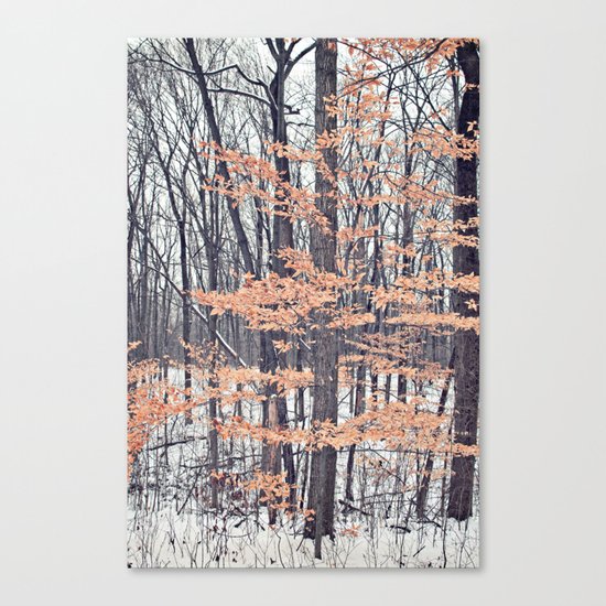 Snow in the Woods Canvas Print