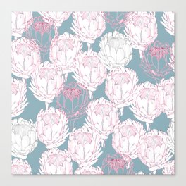Painted Proteas Pink and French Blue Canvas Print