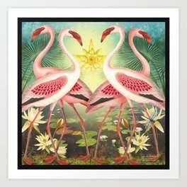 Flamingos with Water Lilies Art Print