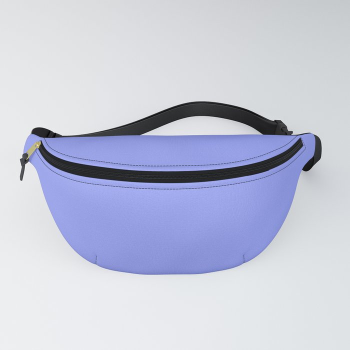 Mood Fanny Pack