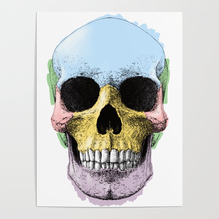 Coloured Skull Poster