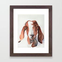 Boer Goat Watercolor Framed Art Print