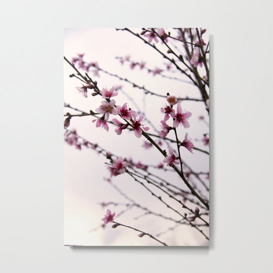 Signs Of Spring Metal Print