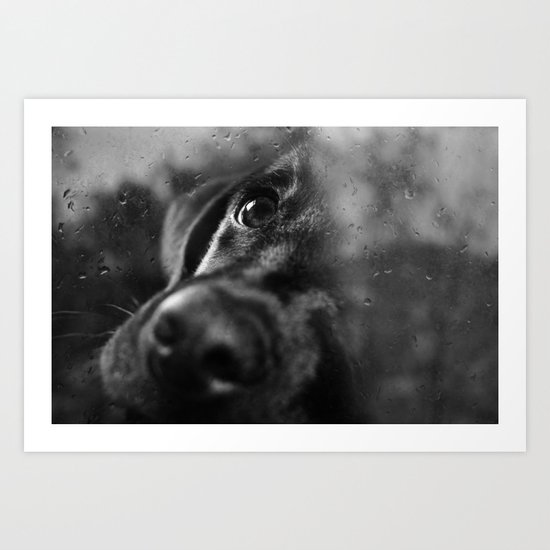 dog Art Print