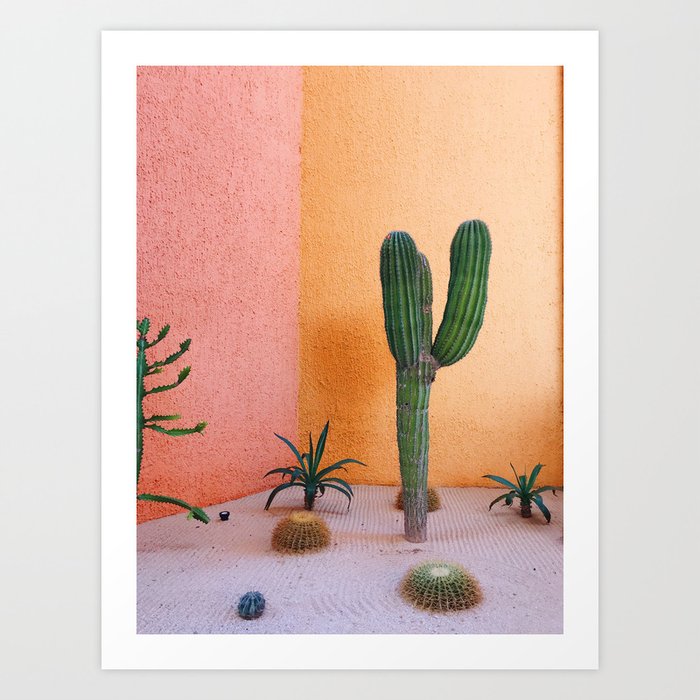 Cactus in Cabo Art Print