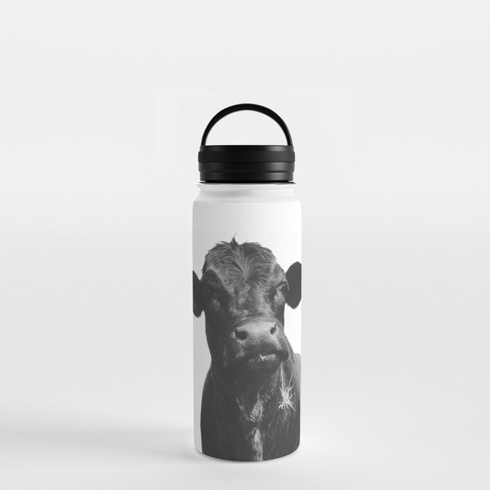 Western Black Angus Cow Portrait Water Bottle