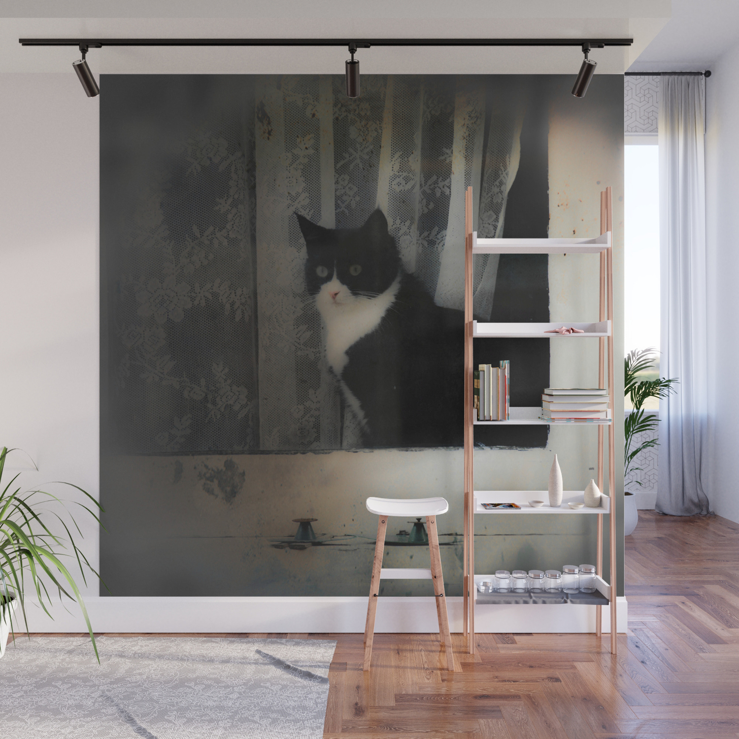 One Cat In The Window Wall Mural By Victoriaherrera Society6
