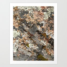 lichen 01 Art Print