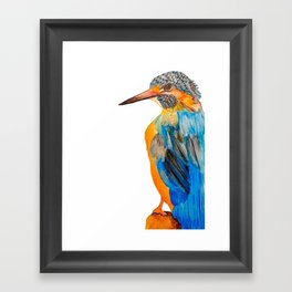 Martin Pescatore Bird Framed Art Print