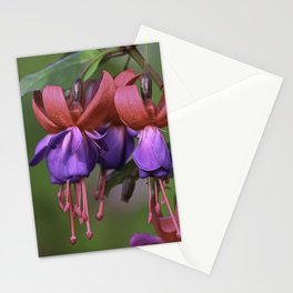 Fuschia Blooms Stationery Card