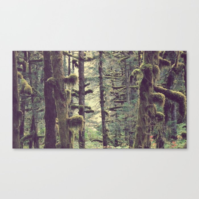 Branching Out | Forest Photograph Canvas Print