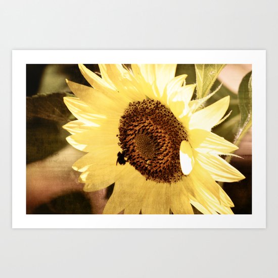 Simple Sunflower Art Print
