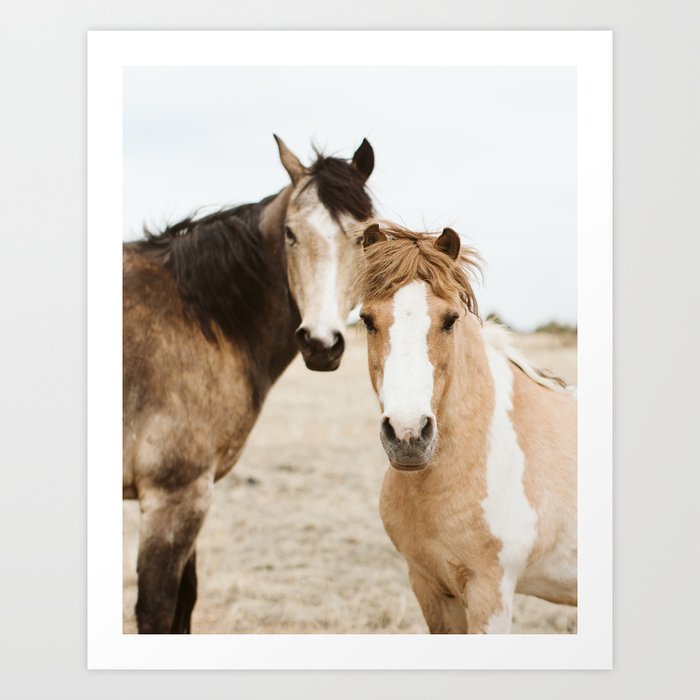 Horses #17 Art Print