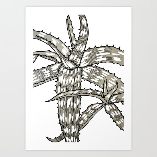 Aloe Art Print