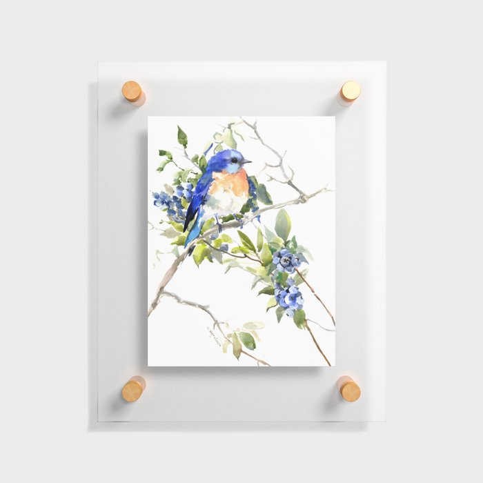Bluebird and Blueberry Floating Acrylic Print