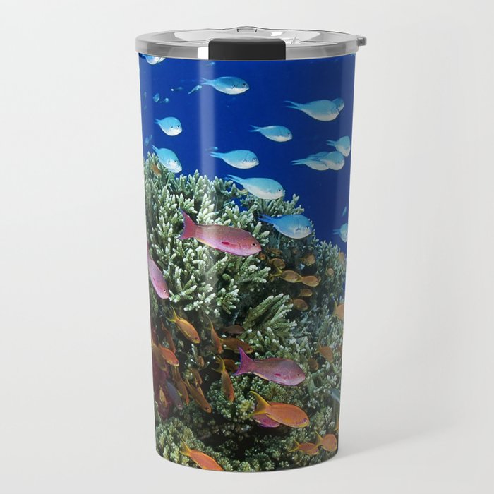 porcupine fish Travel Mug