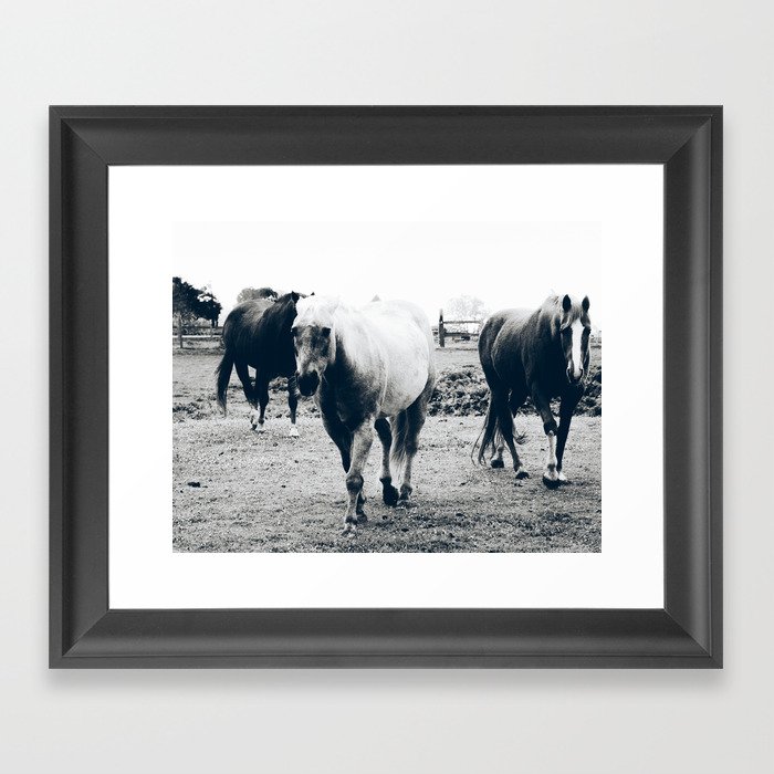 Horse Approach - Support my small business Framed Art Print