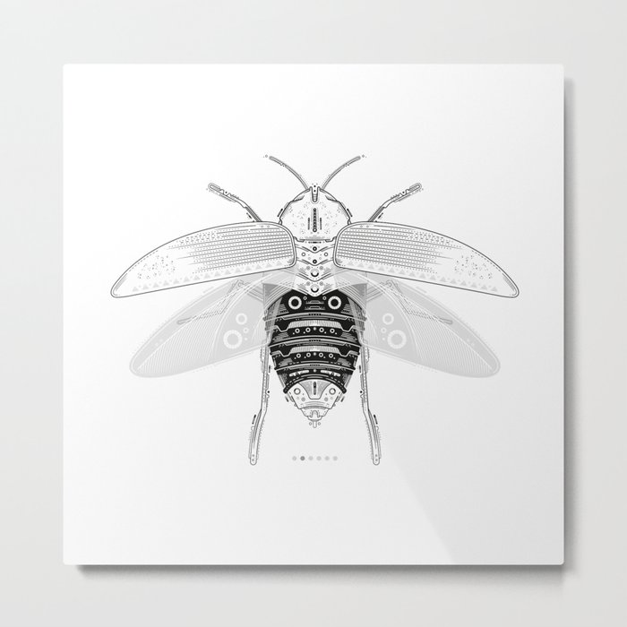 entomology 03. (ii) Metal Print