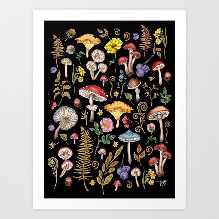 Botanical Mushroom #10 Art Print