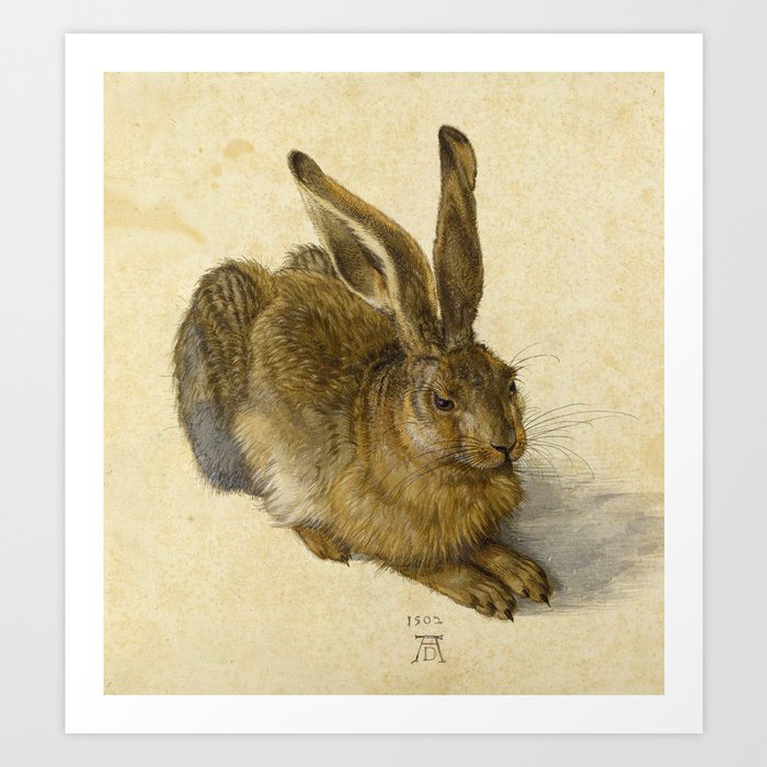 Hare, 1502 by Albrecht Durer Art Print