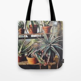 Cactus Wall Tote Bag