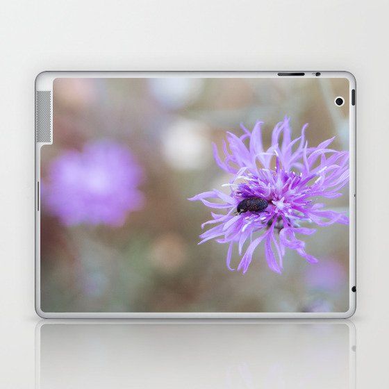 Beetle on Purple Wildflower Laptop & iPad Skin