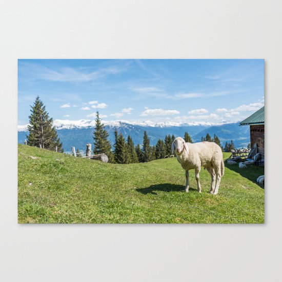 Me, the Sheeple?! Canvas Print