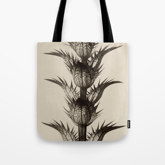 Karl Blossfeldt, Acanthus mollis Tote Bag by Vintage Wall Art | Society6