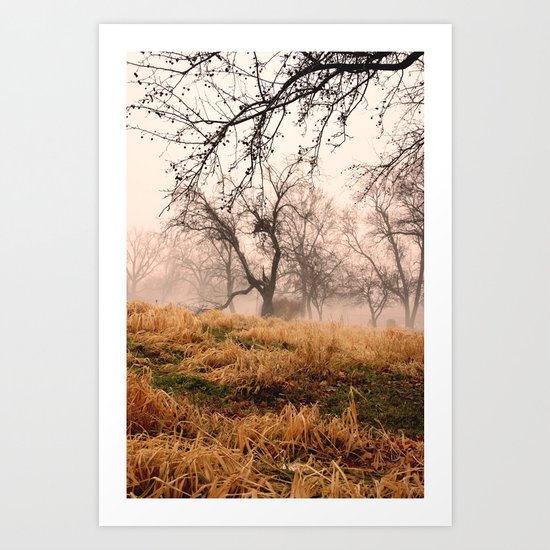 Natural Mystic in the Air Art Print