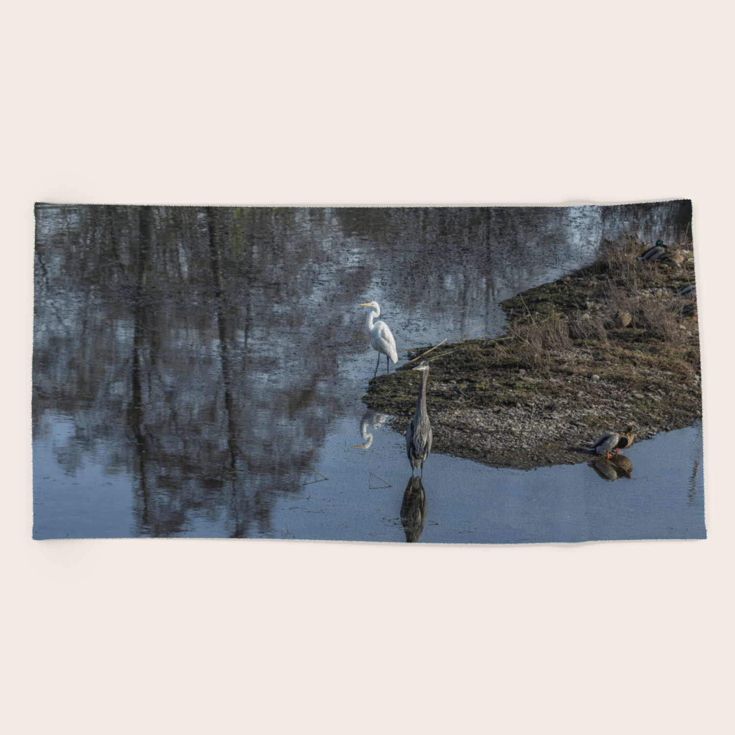 Reflections Of My Feathered Friends Beach Towel By Belindagreb
