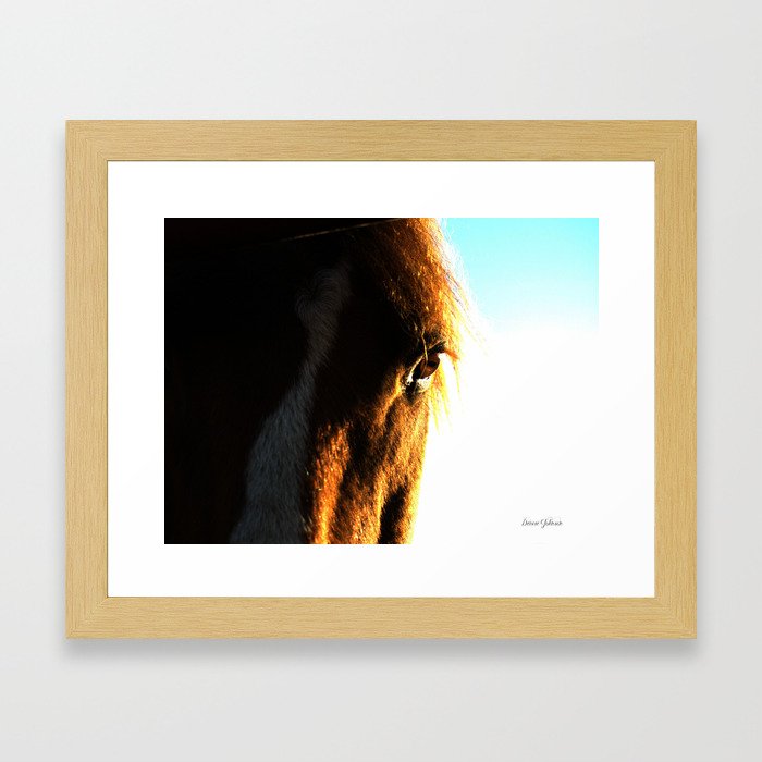 Mustang Framed Art Print