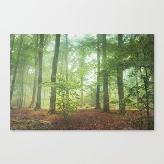 Hazy Summer Forest Canvas Print