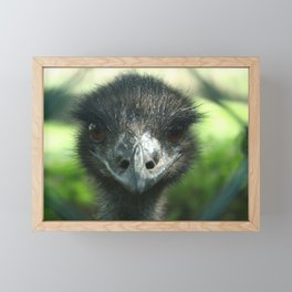 Eye to eye with an ostrich Framed Mini Art Print