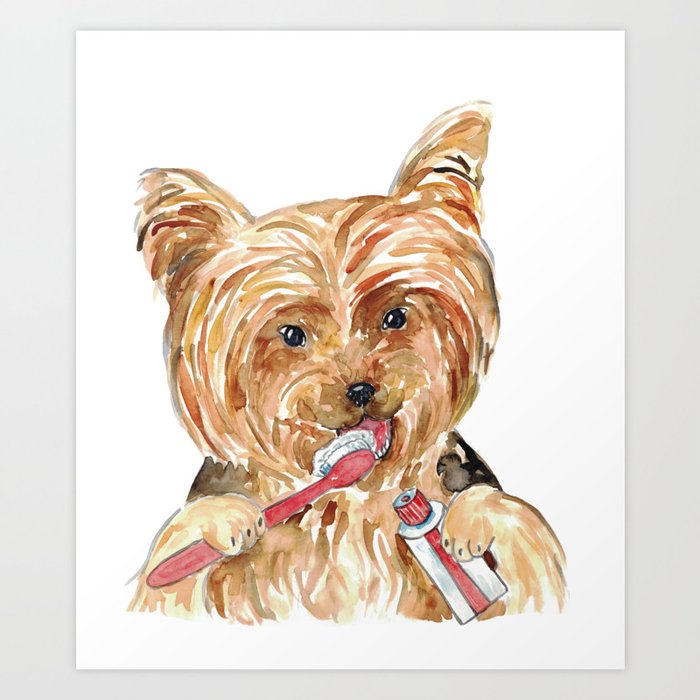 Dog Yourkie Yorkshire terrier brushing teeth bath watercolor Art Print