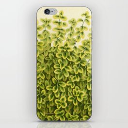 Botanical Thyme iPhone Skin