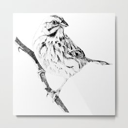 Song Sparrow Stipple Drawing Metal Print