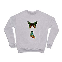 Madagascan Sunset Moth Butterfly Crewneck Sweatshirt