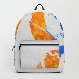 Aperture Vandal Backpack | Graffiti, Graphicdesign, Paint, Future, Vs, Graphic Design, Game, Science, Camera, Chel 