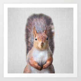 Squirrel - Colorful Art Print