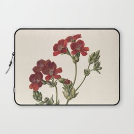 Red Flower Vintage Botanical Print Laptop Sleeve