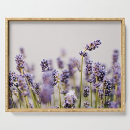 Lavender Close-up | Nature photography Serving Tray
