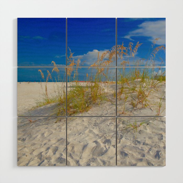 Clearwater Beach, Florida Wood Wall Art