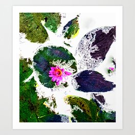 Lily Pad Leaf Lace on white Art Print