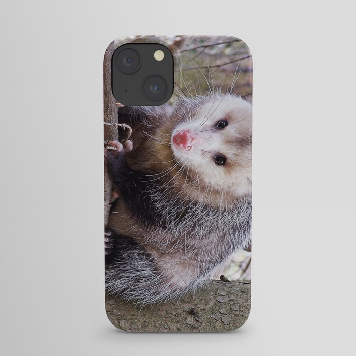 Possum Staredown iPhone Case