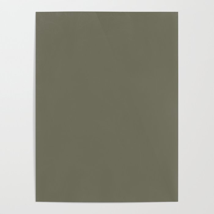 Dark Gray-Green Solid Color Pantone Deep Lichen Green 18-0312 TCX Shades of Green Hues Poster