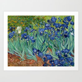 Vincent Van Gogh - Irises Art Print