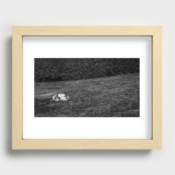 Wild Bunny Recessed Framed Print